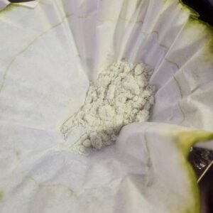 Mescaline powder 200mg